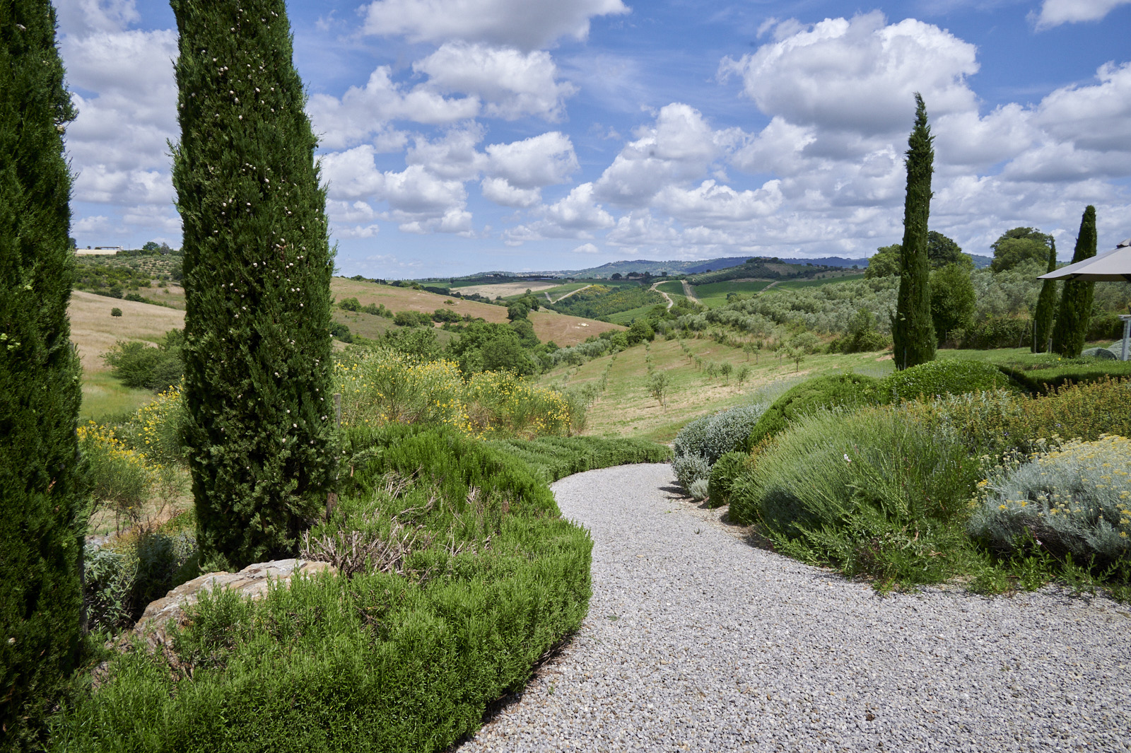 Garden exterior with clouds