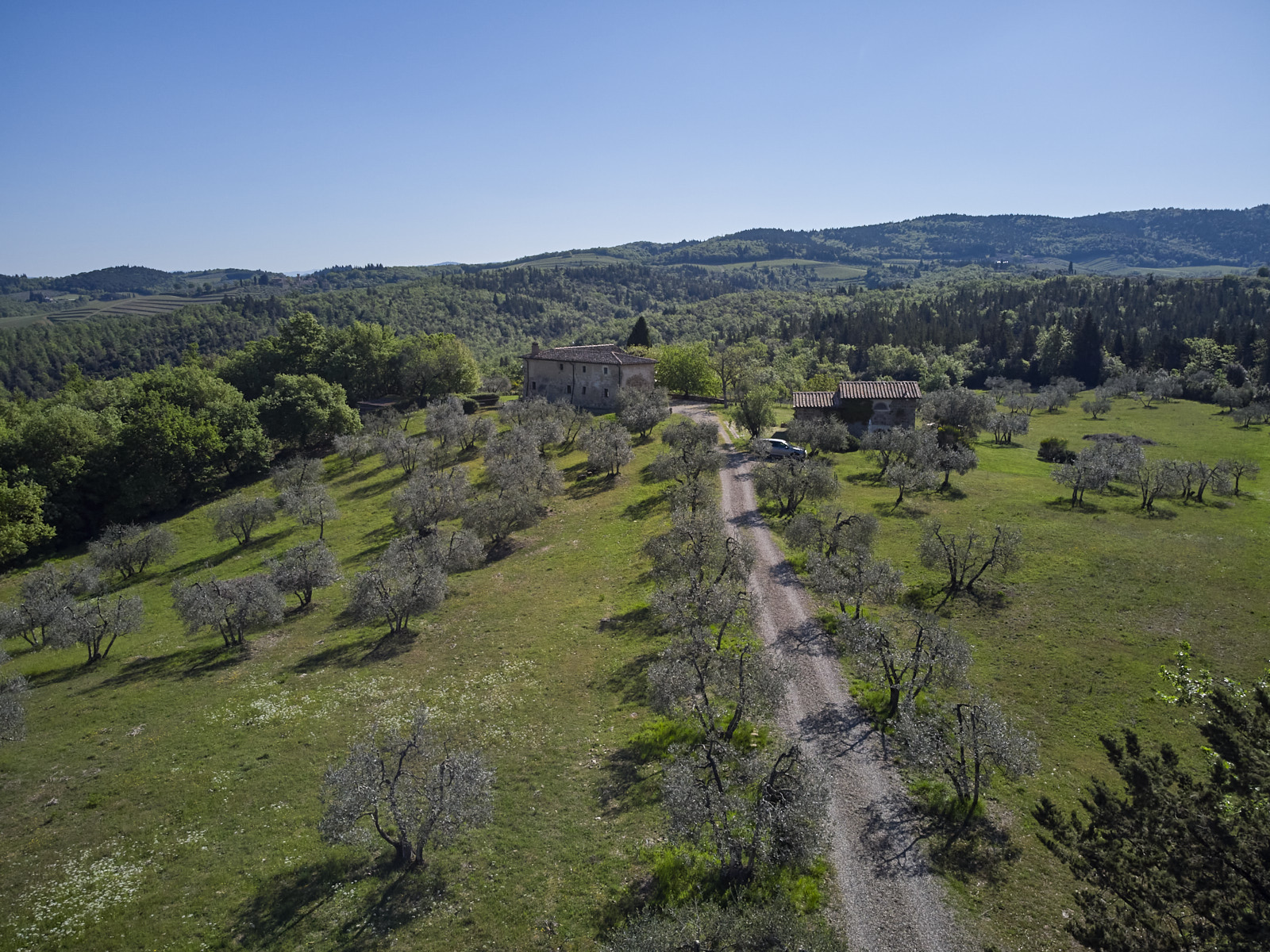 Stone gate entrance with olive grove