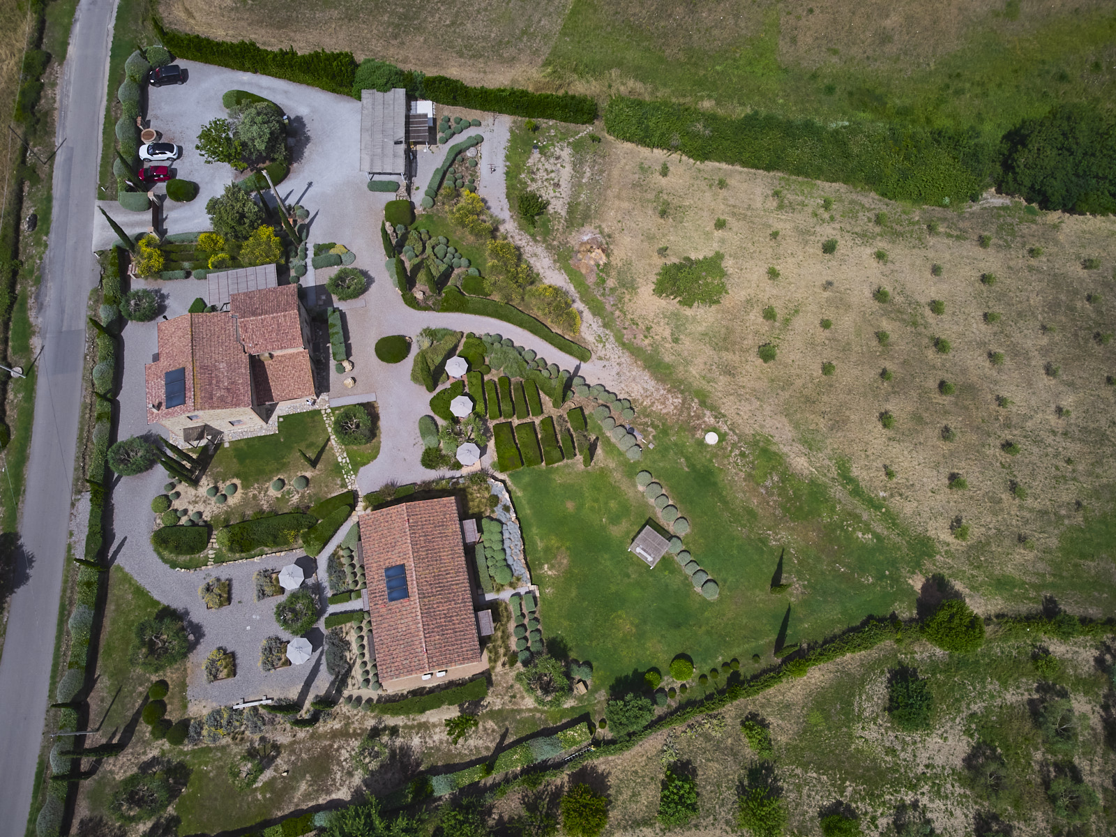Gated driveway with olive trees